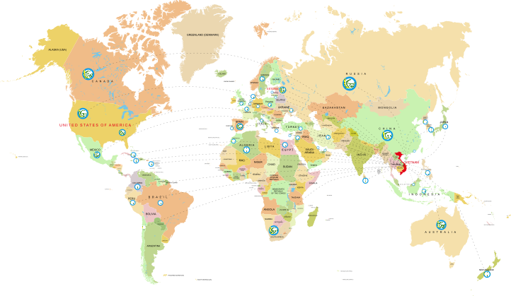 EXPORT MARKET